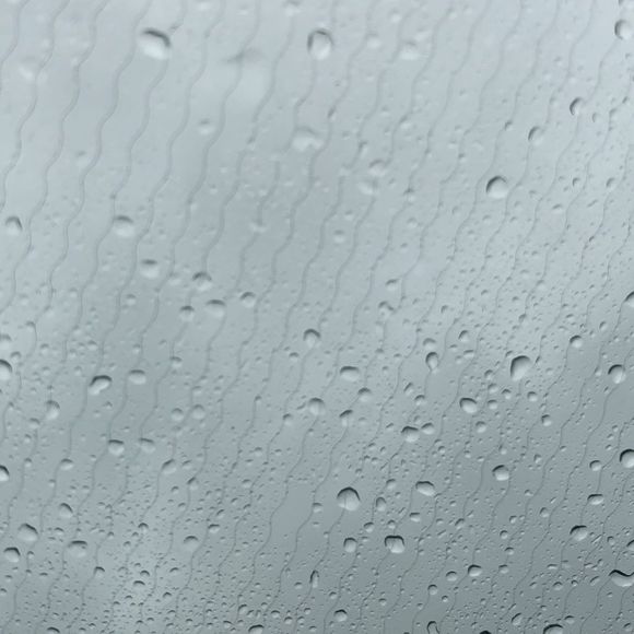 Meet your Posher, Jack - Picture 1 of 1